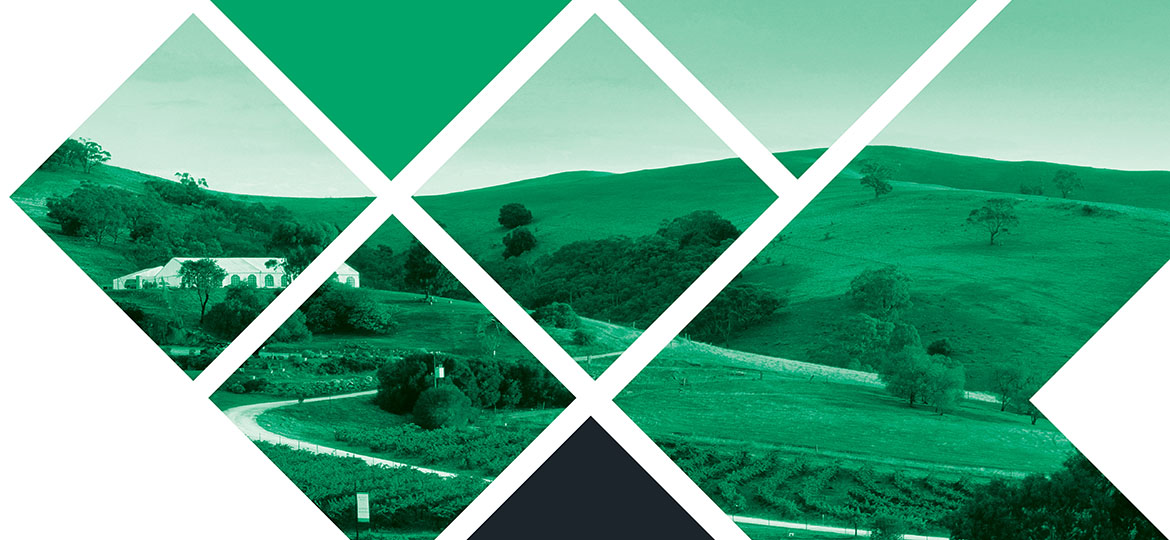 Natural Resources Environment Policy Discussion Paper SA Planning